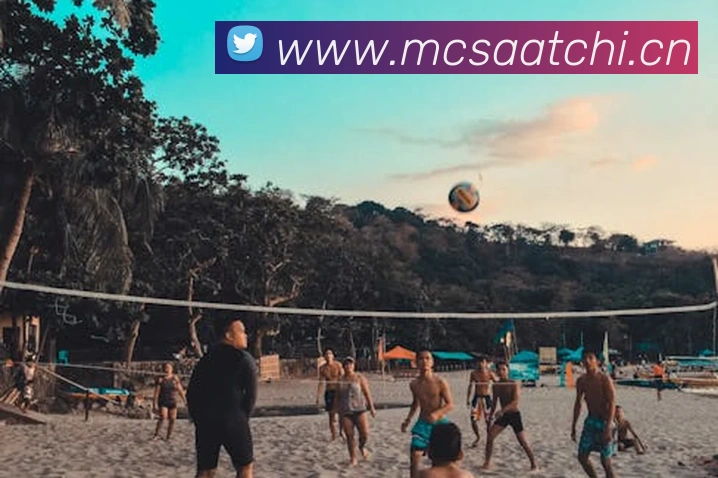 爱游戏官网网页版入口APP 封面图